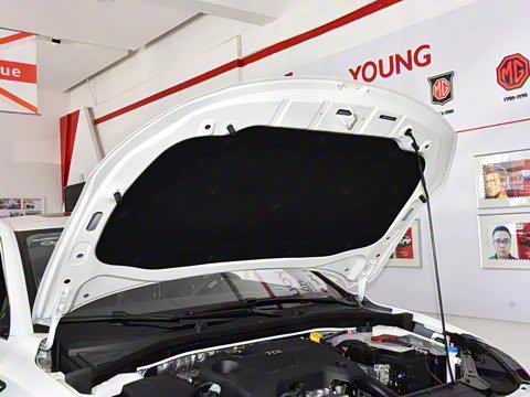 2018�� 20T �Զ����������� ��VI