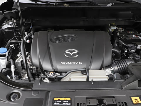 2024�� 2.0L �Զ�����������