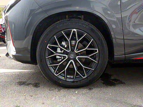 2023�� ���� 2.0T �Զ�������