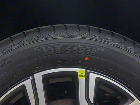 2025�� EcoBoost 170 �Ķ���