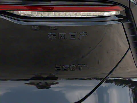 2026�� 260T ������ Pro