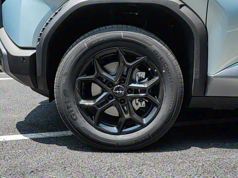 2025�� 501KM ����Pro��