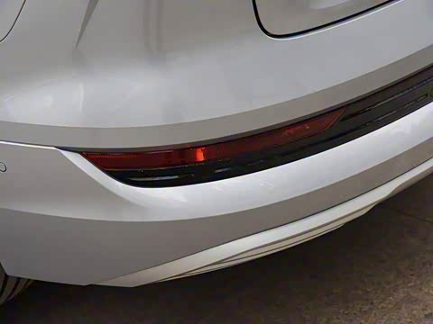 2019�� 55 quattro ������