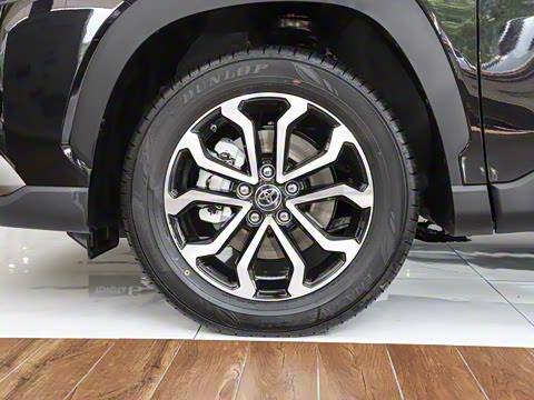 2023�� 2.0L ���ܵ��˫�� ������