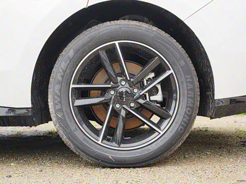 2025�� 650 ������