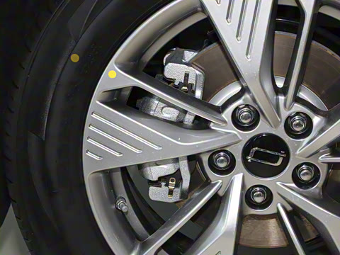 2025�� 565km ������