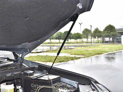 2023�� 4.6L V8 �캽��