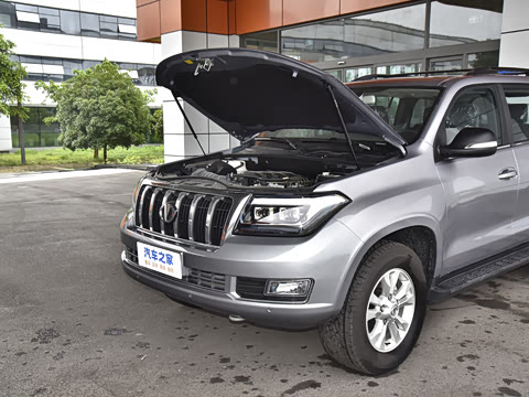 2023�� 4.6L V8 �캽��