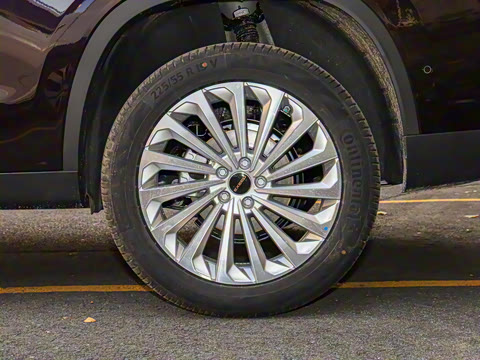 2021�� 290T �������