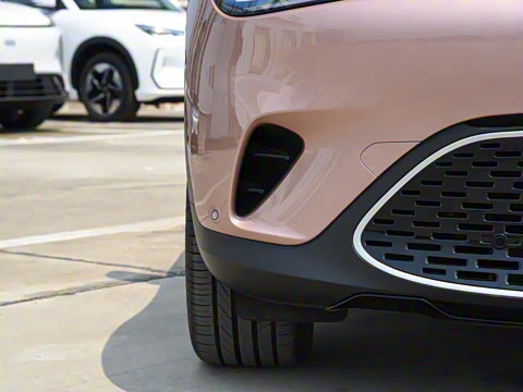 2026�� �鶯������