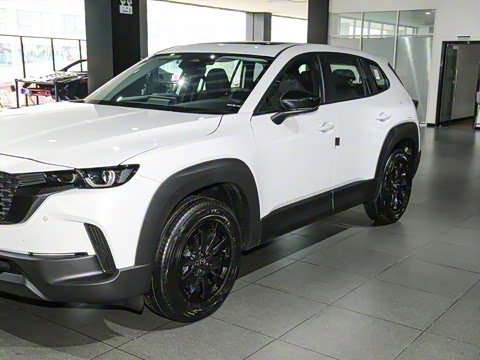 2023�� 2.0L ���а�