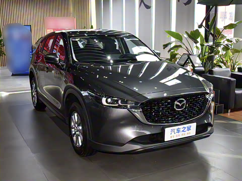 2025�� 2.0L �Զ�����������