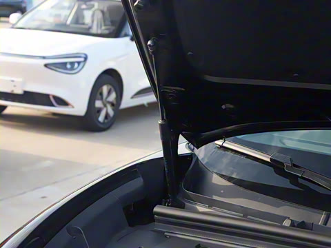 2024�� ������������