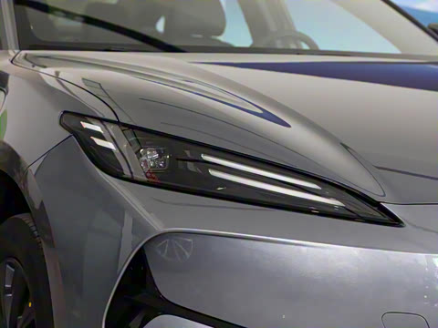 2025�� 520�ǻݰ�