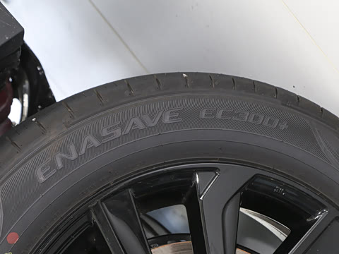 2023�� 2.0L �˶�SPORT��