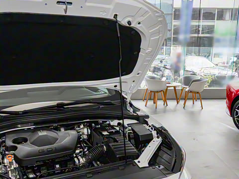 2026�� 180DVVT ȫ�������