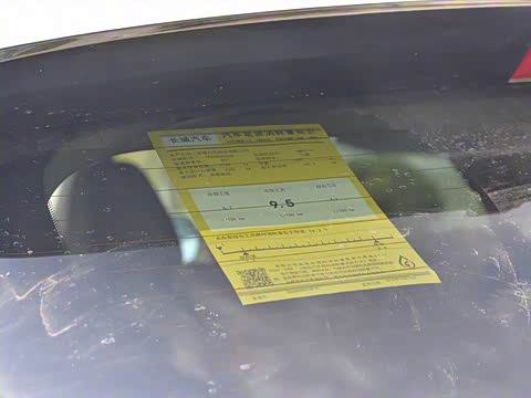 2019�� 2.0T ���������� ��VI