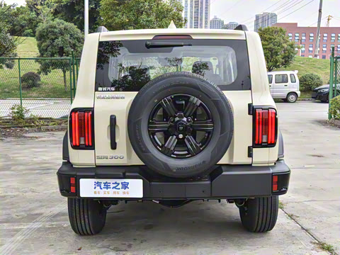 2025�� 2.0T ��ս��