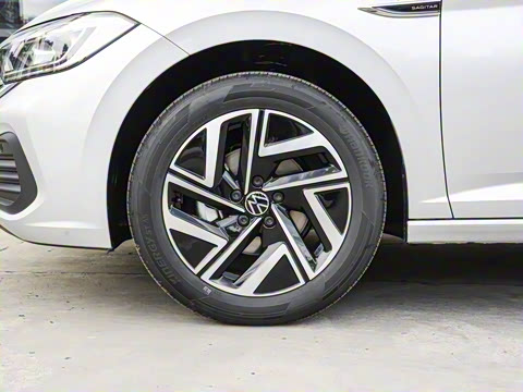 2025�� �Ŀ��� 300TSI DSG��Խ��