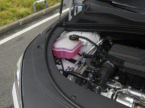 2020�� 1.5T �Զ��콢��