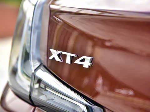 2018�� 28T ���������˶���