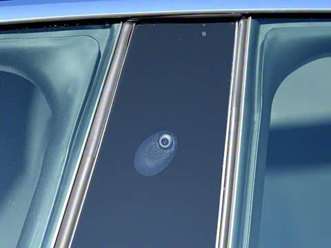 2018�� Model S 100D ����