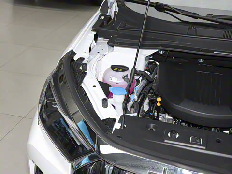 2025�� 1.6TD DCT��Ӣ�� 7��