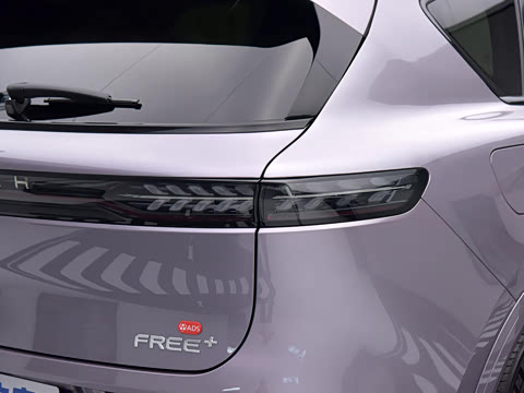 2025�� FREE+ ����Ǭ����