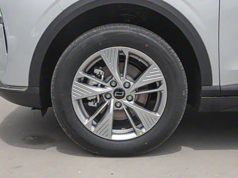 2025�� 445km ���ð�