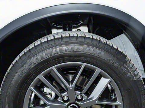 2025�� ���� 2.0L �������Ȱ�