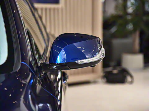 2021�� 2.0T ������