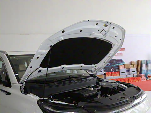 2025�� 165km ���������������� 7��