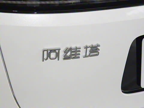 2025�� Max �����