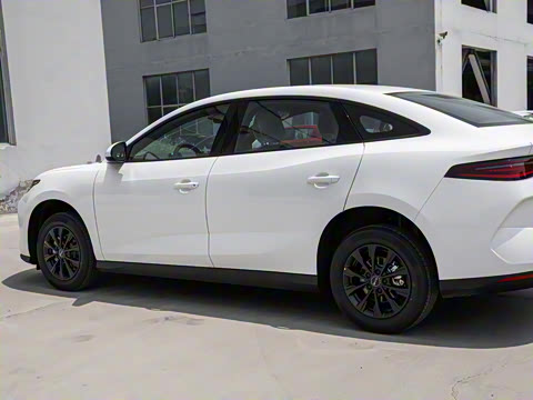 2025�� 520�ǻݰ�