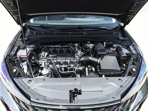 2025�� PLUS 1.5L �ֶ�������