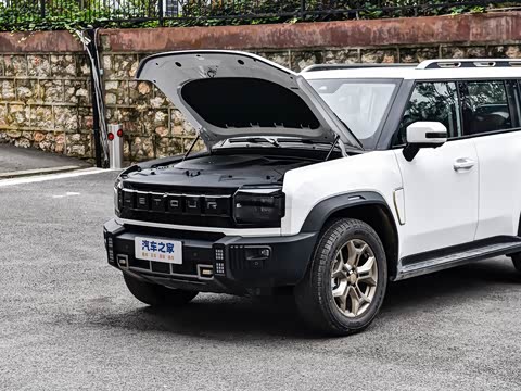 2025�� 2.0TD XWD �Զ�����