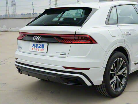 2022�� 55 TFSI ����������