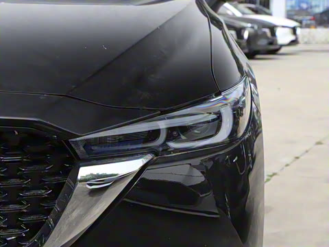 2024�� 2.0L �Զ�����������