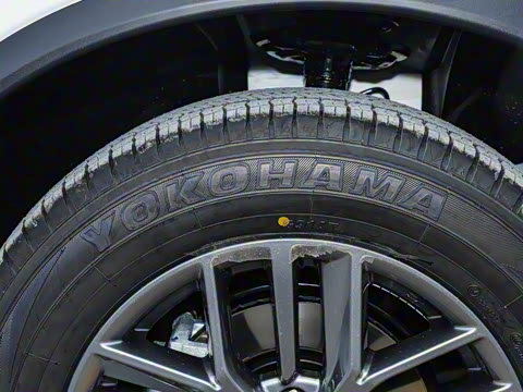 2025�� ���� 2.0L �������Ȱ�