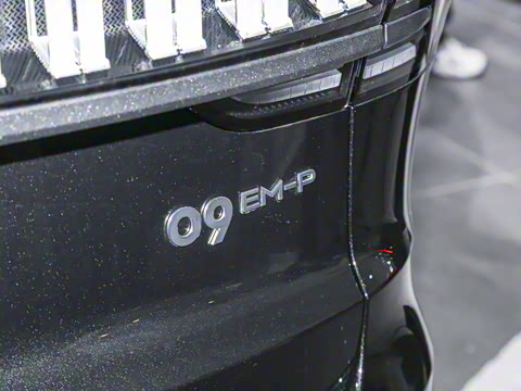 2025�� 2.0TD EM-P ����Max ����