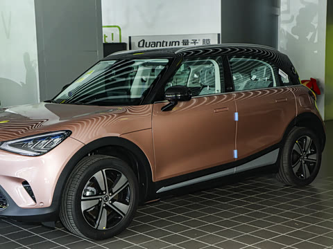 2026�� �鶯��������