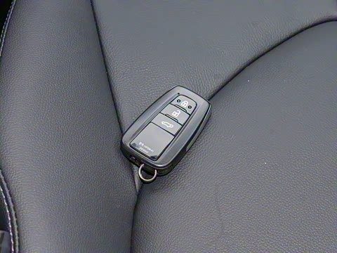 2023�� 2.5L���ܵ��˫���������� 7��