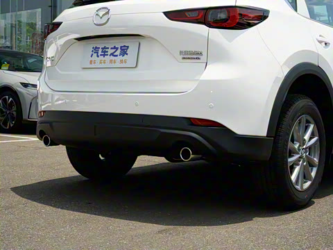 2025�� 2.0L �Զ���������Pro