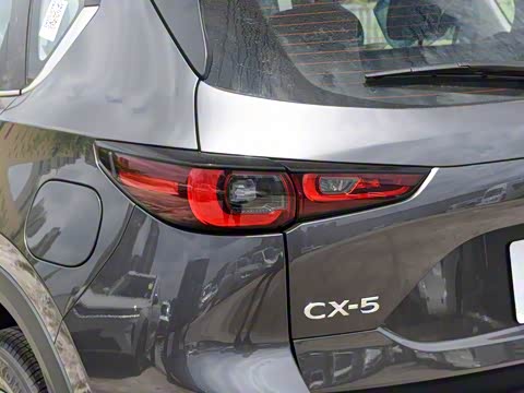 2025�� 2.0L �Զ���������Pro