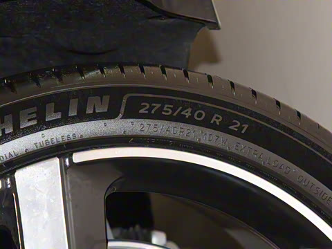 2025�� ������������������Max��