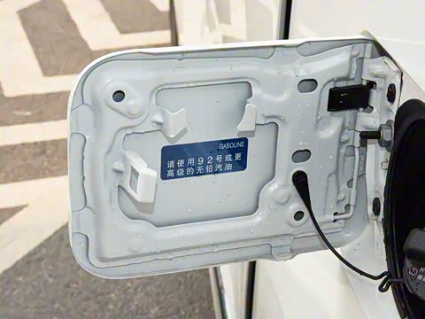 2020�� 300h ����������