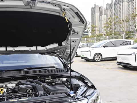 2025�� �Ŀ��� 300TSI DSG��Խ��