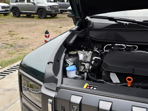 2025�� 2.0T 4WD Pro