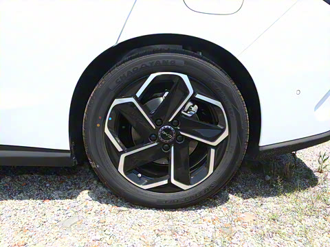 2025�� DM-i 150KM�콢��