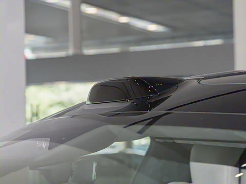 2025�� ������������������Max��